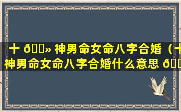 十 🌻 神男命女命八字合婚（十神男命女命八字合婚什么意思 🍁 ）